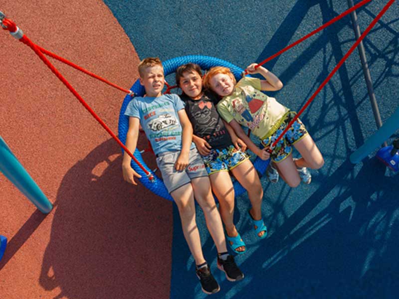 Качели гнездо - история эволюции