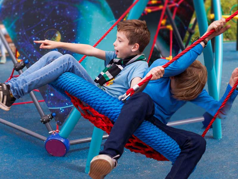 Качели гнездо - история эволюции