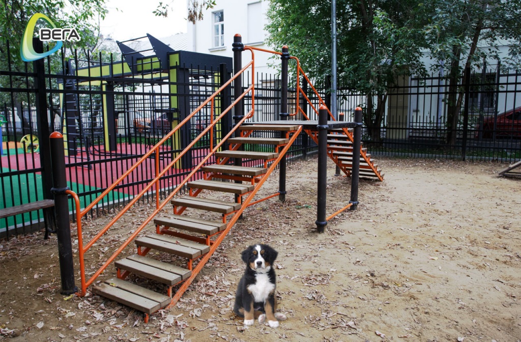 Оборудование для площадок для выгула собак от ВегаГрупп (3).jpg