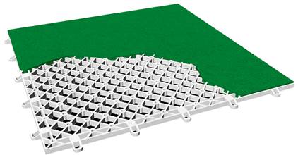 Без названия.png