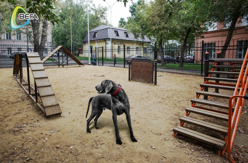 Оборудование для площадок для выгула собак от ВегаГрупп (9).jpg
